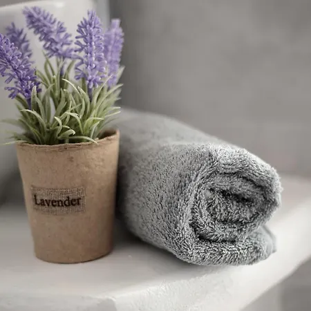 Hotel Manios Agia Anna (Naxos)